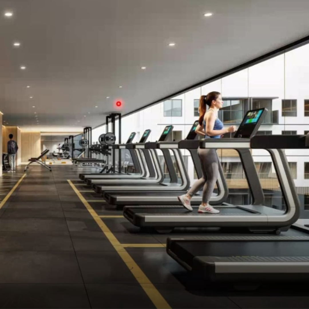 CAMPAÑA CHURUBUSCO (7)