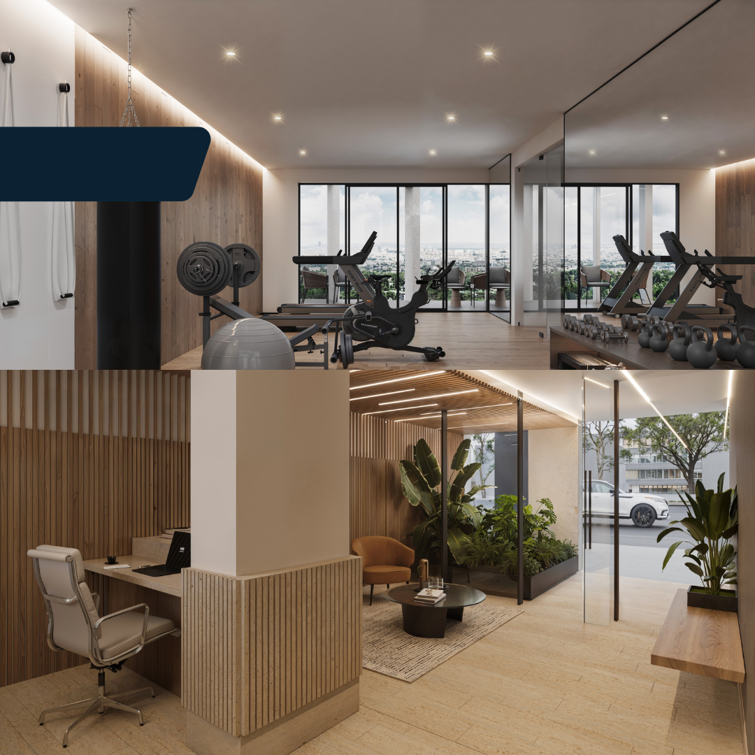 CAMPAÑA REVOLUCIÓN (7)